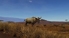 画像ギャラリー No.009のサムネイル画像 / 狩猟シム「Way of the Hunter」,アフリカの雄大な自然を舞台にした新DLC「ティカムーン平原」を発表。アナウンストレイラーも公開に