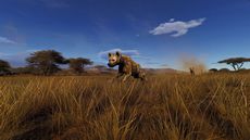 画像ギャラリー No.006のサムネイル画像 / 「Way of the Hunter」，配信中の新DLC「ティカムーン平原（Tikamoon Plains）」を紹介するリリーストレイラーを公開