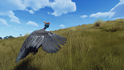 画像ギャラリー No.006のサムネイル画像 / 「Way of the Hunter」,新DLC「マタリキ公園」を2月6日に発売。野生化したブタやヤギが登場する最新トレイラーを公開