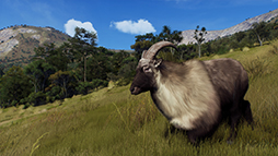 画像ギャラリー No.007のサムネイル画像 / 「Way of the Hunter」,新DLC「マタリキ公園」を2月6日に発売。野生化したブタやヤギが登場する最新トレイラーを公開