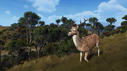 画像ギャラリー No.011のサムネイル画像 / 「Way of the Hunter」,新DLC「マタリキ公園」を2月6日に発売。野生化したブタやヤギが登場する最新トレイラーを公開
