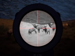 「Way of the Hunter」，追加DLC「Night Hunting Pack」販売開始。暗視タイプのツールを使って夜間の狩猟に挑戦しよう