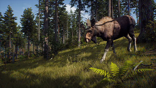 画像ギャラリー No.005のサムネイル画像 / オープンワールド型ハンティングゲーム「Way of the Hunter」のPS5/Xbox Series X版は8月16日，PC版は8月17日に発売決定