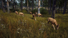 画像ギャラリー No.003のサムネイル画像 / ハンティングゲーム「Way of the Hunter」,動物紹介トレイラー第2弾を公開。美しい自然の中で暮らすアカシカやシャモアなどの姿が確認できる