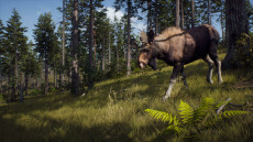 画像ギャラリー No.006のサムネイル画像 / ハンティングゲーム「Way of the Hunter」,動物紹介トレイラー第2弾を公開。美しい自然の中で暮らすアカシカやシャモアなどの姿が確認できる
