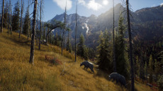 画像ギャラリー No.007のサムネイル画像 / ハンティングゲーム「Way of the Hunter」,動物紹介トレイラー第2弾を公開。美しい自然の中で暮らすアカシカやシャモアなどの姿が確認できる