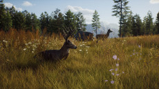 画像ギャラリー No.008のサムネイル画像 / ハンティングゲーム「Way of the Hunter」,動物紹介トレイラー第2弾を公開。美しい自然の中で暮らすアカシカやシャモアなどの姿が確認できる