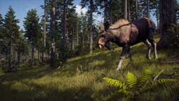 画像ギャラリー No.005のサムネイル画像 / PS5「Way of the Hunter ウェイ オブ ザ ハンター」パッケージ版,本日発売