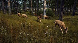 画像ギャラリー No.002のサムネイル画像 / 「Way of the Hunter」,車載ラジオやレア毛皮などを追加するアップデートを配信