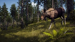 画像ギャラリー No.005のサムネイル画像 / 「Way of the Hunter」,車載ラジオやレア毛皮などを追加するアップデートを配信