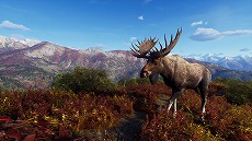 画像ギャラリー No.003のサムネイル画像 / 「Way of the Hunter」,無料大型DLC“オーロラショアーズ”の配信日を2月23日に決定。登場する動物たちを確認できるトレイラーが公開