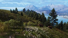 画像ギャラリー No.008のサムネイル画像 / 「Way of the Hunter」,無料大型DLC“オーロラショアーズ”の配信日を2月23日に決定。登場する動物たちを確認できるトレイラーが公開