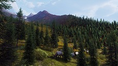 画像ギャラリー No.010のサムネイル画像 / 「Way of the Hunter」,無料大型DLC“オーロラショアーズ”の配信日を2月23日に決定。登場する動物たちを確認できるトレイラーが公開