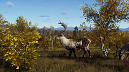 画像ギャラリー No.004のサムネイル画像 / 「Way of the Hunter」,スカンジナビアの多様な環境の中で狩猟を楽しめる追加DLC「リントゥコト保護区」を8月2日に発売
