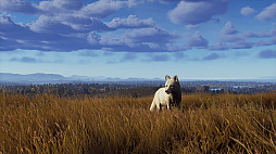 画像ギャラリー No.006のサムネイル画像 / 「Way of the Hunter」,スカンジナビアの多様な環境の中で狩猟を楽しめる追加DLC「リントゥコト保護区」を8月2日に発売