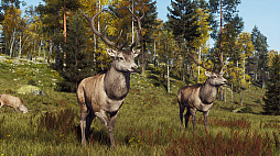画像ギャラリー No.012のサムネイル画像 / 「Way of the Hunter」,スカンジナビアの多様な環境の中で狩猟を楽しめる追加DLC「リントゥコト保護区」を8月2日に発売
