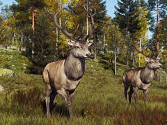 「Way of the Hunter」，スカンジナビアの多様な環境の中で狩猟を楽しめる追加DLC「リントゥコト保護区」を8月2日に発売