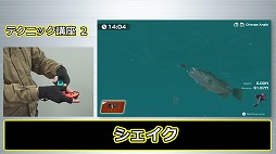 画像ギャラリー No.005のサムネイル画像 / 「THE バスフィッシング」,テクニックの解説動画を公開