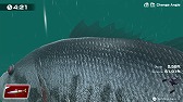 画像ギャラリー No.015のサムネイル画像 / 「THE バスフィッシング」が本日リリースに。動画“ファイト講座”も公開に