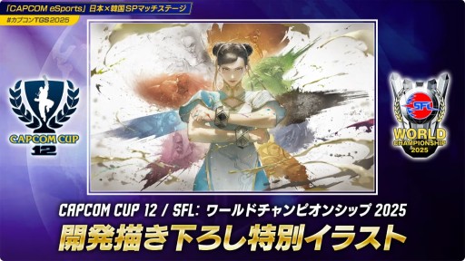 画像ギャラリー No.003のサムネイル画像 / 「CAPCOM CUP 12」「SFLグランドファイナル」の観戦チケット抽選販売が10月10日に開始。決勝のライブ視聴は有料に［TGS2025］