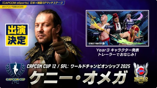 画像ギャラリー No.004のサムネイル画像 / 「CAPCOM CUP 12」「SFLグランドファイナル」の観戦チケット抽選販売が10月10日に開始。決勝のライブ視聴は有料に［TGS2025］