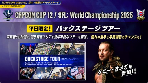 画像ギャラリー No.008のサムネイル画像 / 「CAPCOM CUP 12」「SFLグランドファイナル」の観戦チケット抽選販売が10月10日に開始。決勝のライブ視聴は有料に［TGS2025］