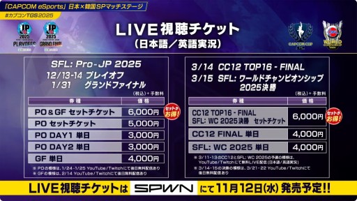 画像ギャラリー No.009のサムネイル画像 / 「CAPCOM CUP 12」「SFLグランドファイナル」の観戦チケット抽選販売が10月10日に開始。決勝のライブ視聴は有料に［TGS2025］