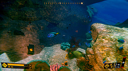 Deep Diving Adventures