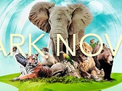 「アーク・ノヴァ」がボードゲームアリーナに正式実装。研究や自然保護を通じて，自分だけの動物園を作り上げる重量級ボードゲーム