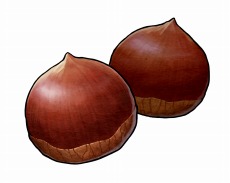 画像ギャラリー No.051のサムネイル画像 / 「ハーヴェステラ」秋のロケーション“レーテの村”の情報を公開。新たなキャラクター“魔族・ディアンサス”が登場
