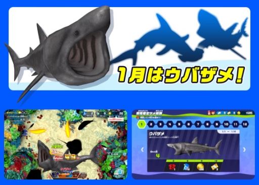 画像ギャラリー No.003のサムネイル画像 / 「釣りスピリッツ 釣って遊べる水族館」，アミで魚を捕まえる新モードを追加。毎月違うサメが登場する「サメ祭り」も2024年1月から開催