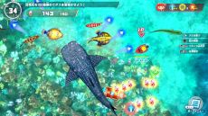 画像ギャラリー No.005のサムネイル画像 / 「釣りスピリッツ 釣って遊べる水族館」，アミで魚を捕まえる新モードを追加。毎月違うサメが登場する「サメ祭り」も2024年1月から開催