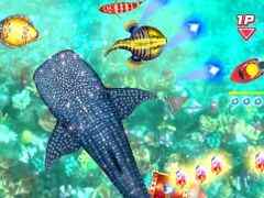「釣りスピリッツ 釣って遊べる水族館」，アミで魚を捕まえる新モードを追加。毎月違うサメが登場する「サメ祭り」も2024年1月から開催