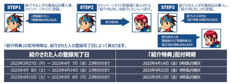 画像ギャラリー No.009のサムネイル画像 / 「ロックマンエグゼ アドバンスドコレクション」のダウンロードカードが3月27日に発売へ。“バトルチップセット”がもらえるキャンペーンも開催