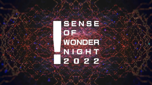 画像ギャラリー No.001のサムネイル画像 / ［TGS2022］インディーズゲーム選考会“センス・オブ・ワンダー ナイト 2022”レポート。最高賞は「SCHiM」に決定