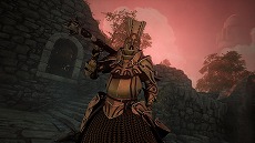 画像ギャラリー No.008のサムネイル画像 / 「Soulframe」無料アップデート「プレリュード 12」を実施。4種類のコースを選べる「ファウンダープログラム」が始動