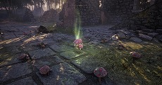 画像ギャラリー No.019のサムネイル画像 / 「Soulframe」無料アップデート「プレリュード 12」を実施。4種類のコースを選べる「ファウンダープログラム」が始動
