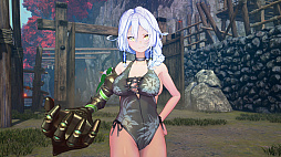 画像ギャラリー No.007のサムネイル画像 / ガールズ侍アクション「SAMURAI MAIDEN -サムライメイデン-」,PS Storeとニンテンドーeショップでダウンロード版の予約受付開始。デラックスエディションの発売も決定