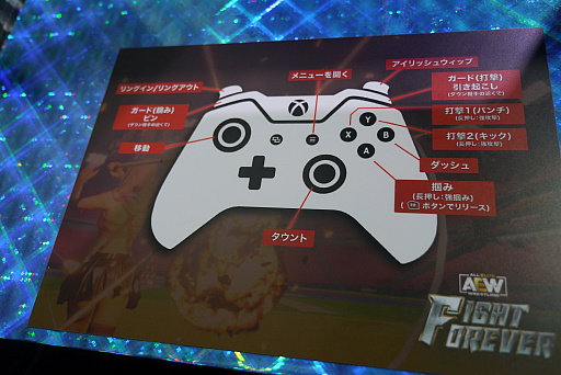 画像ギャラリー No.004のサムネイル画像 / 「AEW:Fight Forever」インタビュー。プロレス愛にあふれる選手と開発者のタッグが,カジュアルに楽しめる激しいプロレスゲームを作り上げる