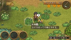 画像ギャラリー No.019のサムネイル画像 / Switch「箱庭牧場 ひつじ村」が11月10日発売へ。牧場生活シム“ひつじ村”シリーズ作品が13年ぶりにコンシューマで登場