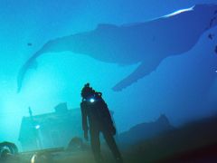 今夜22時から放送の「RADIO 4Gamer Tap（仮）」では，「Under The Waves」を取り上げます