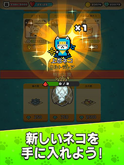 にゃんばーカードWars
