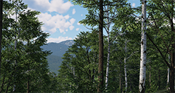 画像ギャラリー No.010のサムネイル画像 / フライトシミュレータ「Xプレイン12」日本語版が11月17日に発売。新しい航空機8機と1万7000以上の空港を収録