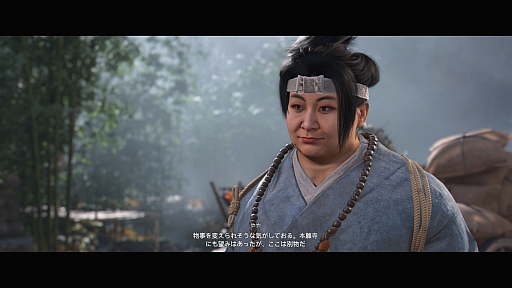 画像ギャラリー No.060のサムネイル画像 / ［プレイレポ］「アサシン クリード シャドウズ」で天守閣からの絶景を見る。柔と剛のステルスアクションもおもしろいが，ちぐはぐな部分も