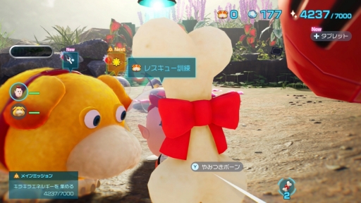 画像ギャラリー No.025のサムネイル画像 / ［プレイレポ］「ピクミン4」は，過去作のいいところ＆新要素の楽しさが詰まった理想的なシリーズ最新作。ファンと初めての人，両方に推したい！