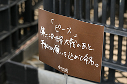 画像ギャラリー No.020のサムネイル画像 / 「“薔薇”と“椿”」がおビンタのお花ですって? お上品な花々の由緒正しきを知るべく,オザキフラワーパークにやってきましたわ