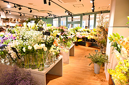 画像ギャラリー No.074のサムネイル画像 / 「“薔薇”と“椿”」がおビンタのお花ですって? お上品な花々の由緒正しきを知るべく,オザキフラワーパークにやってきましたわ