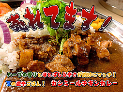 画像ギャラリー No.038のサムネイル画像 / ゲーム会社がカレー屋さんを……? 埼玉・伊奈町の本格インドカレー店「カレーライス&ばる しえすた」の“ポークビンダルー”に夏の衝撃