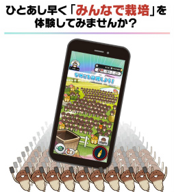 画像ギャラリー No.002のサムネイル画像 / 「みんなのなめこ栽培キット」,iOS版を対象に先着1万名が参加可能なクローズドβテストの開催が決定。CBT用のアプリを配信中