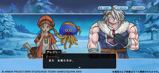 画像ギャラリー No.003のサムネイル画像 / 「ドラゴンクエスト チャンピオンズ」,氷雪地帯が舞台のストーリー第7章を追加。戦場の聖女装備がピックアップされるふくびきも開催中